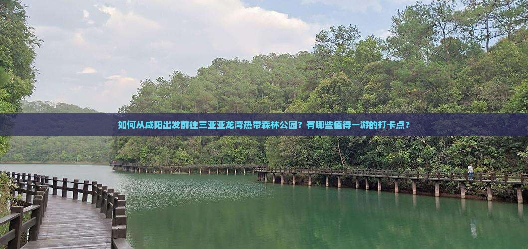 如何从咸阳出发前往三亚亚龙湾热带森林公园？有哪些值得一游的打卡点？