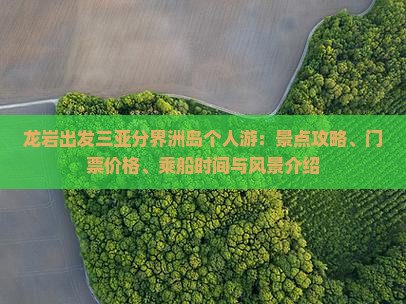 龙岩出发三亚分界洲岛个人游