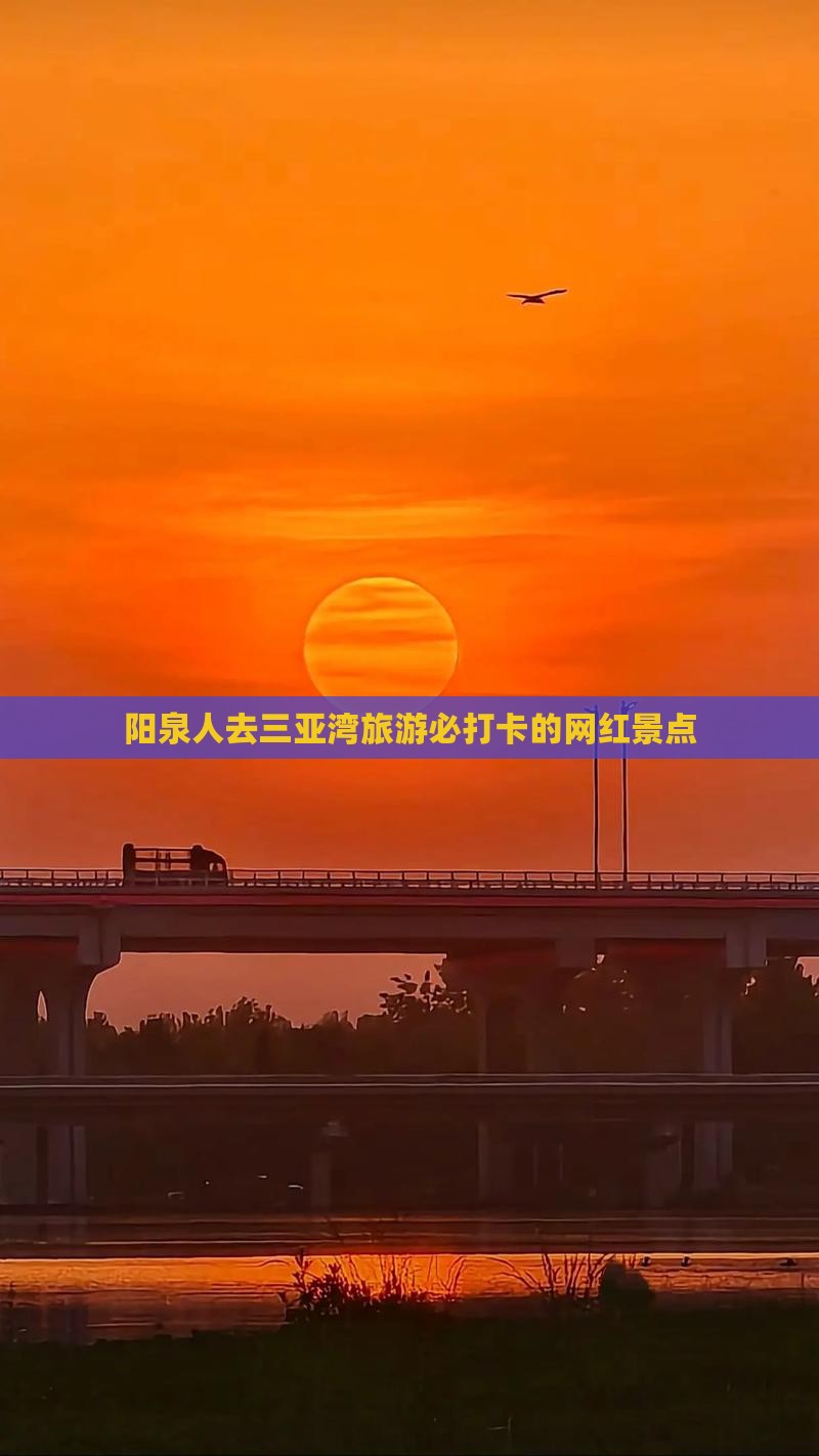 阳泉去三亚三亚湾旅游网红地点