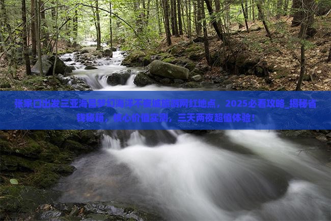 张家口出发三亚海昌梦幻海洋不夜城旅游网红地点 张家口出发三亚海昌梦幻海洋不夜城旅游网红地点