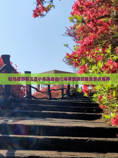 驻马店前往三亚小东海自由团