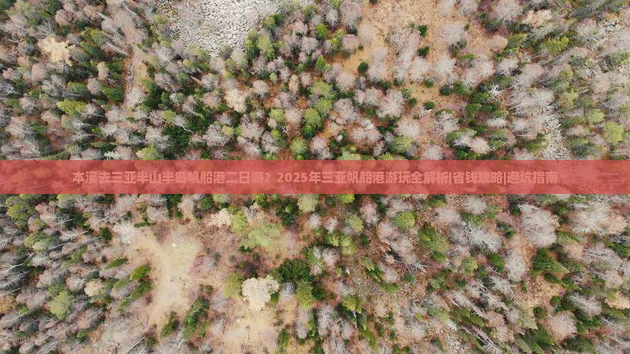 本溪去三亚半山半岛帆船港二日游