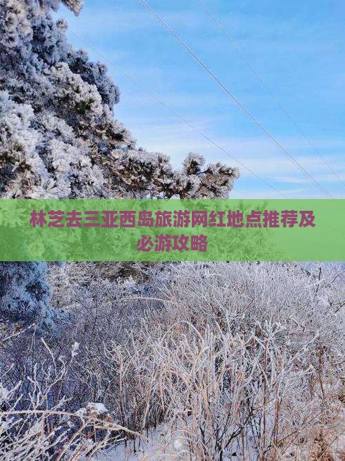 林芝去三亚西岛旅游网红地点