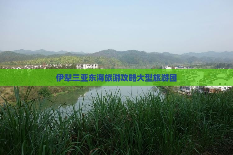 伊犁去三亚小东海大型旅游团 伊犁去三亚小东海大型旅游团