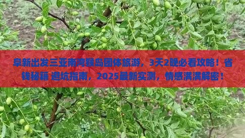 阜新出发三亚南湾猴岛团体旅游