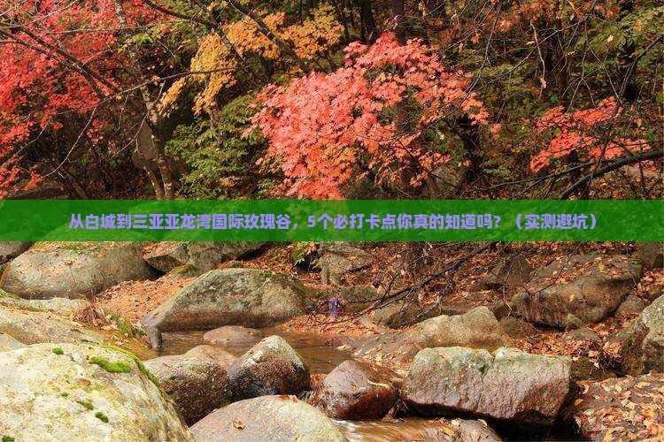 白城去三亚亚龙湾国际玫瑰谷旅游打卡点