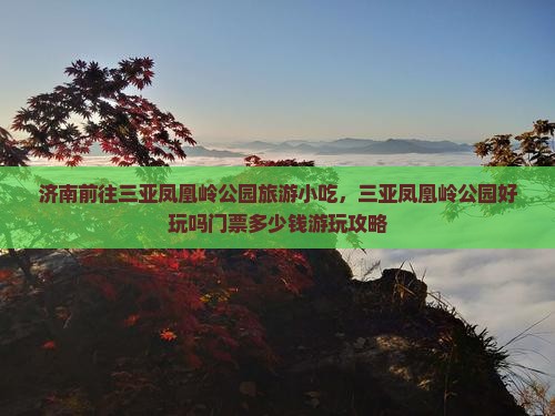济南前往三亚凤凰岭公园旅游小吃