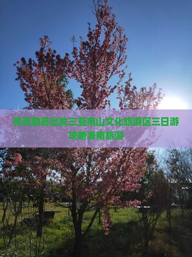 克孜勒苏出发三亚南山文化旅游区三日游