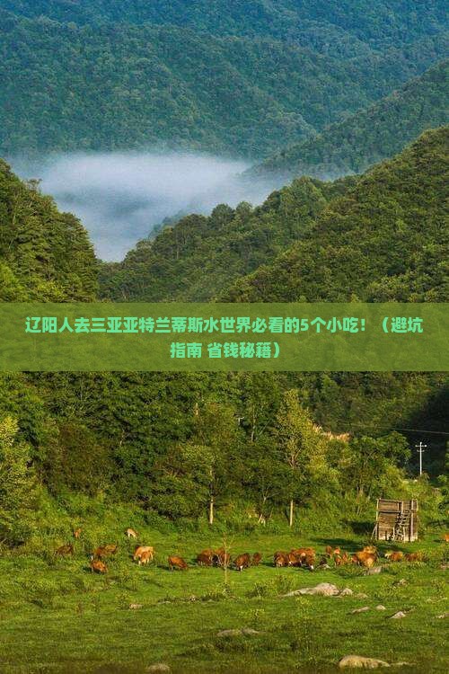 辽阳去三亚亚特兰蒂斯水世界旅游小吃