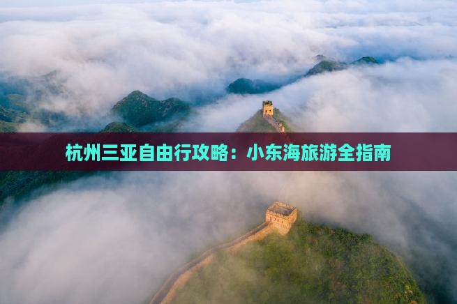 杭州去三亚小东海自由团