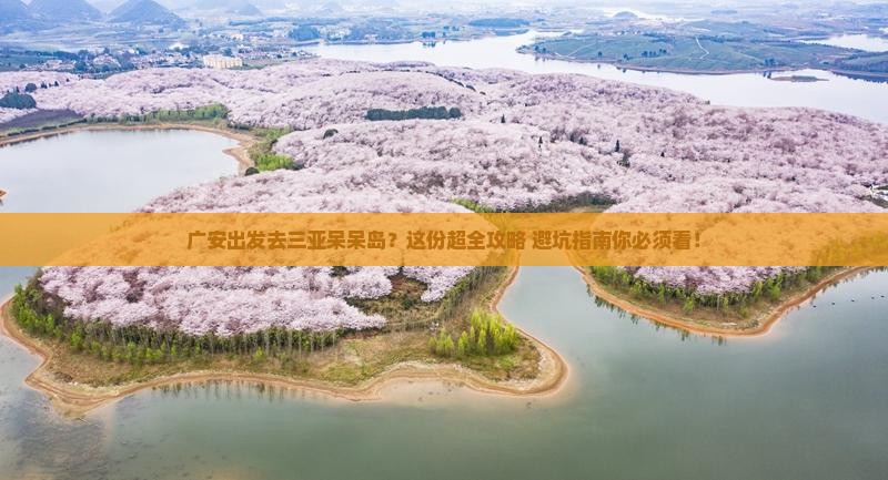 广安出发三亚呆呆岛旅行社