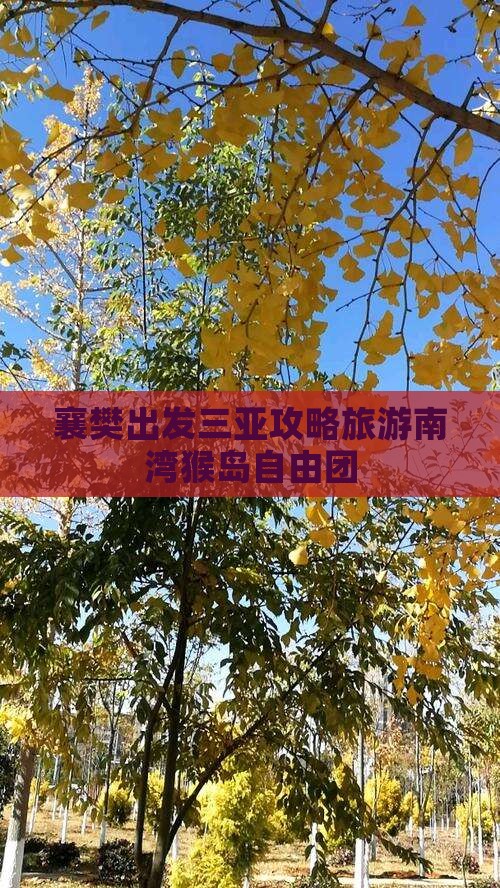 襄樊出发三亚南湾猴岛自由团
