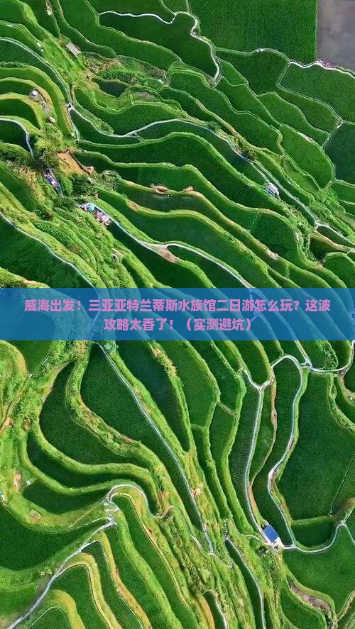 威海出发三亚亚特兰蒂斯水族馆二日游