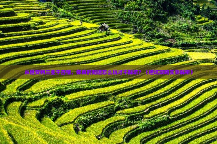 延安出发三亚千古情团体旅游