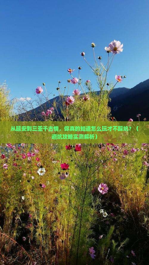 延安出发三亚千古情团体旅游