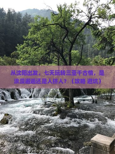 沈阳前往三亚千古情七日游
