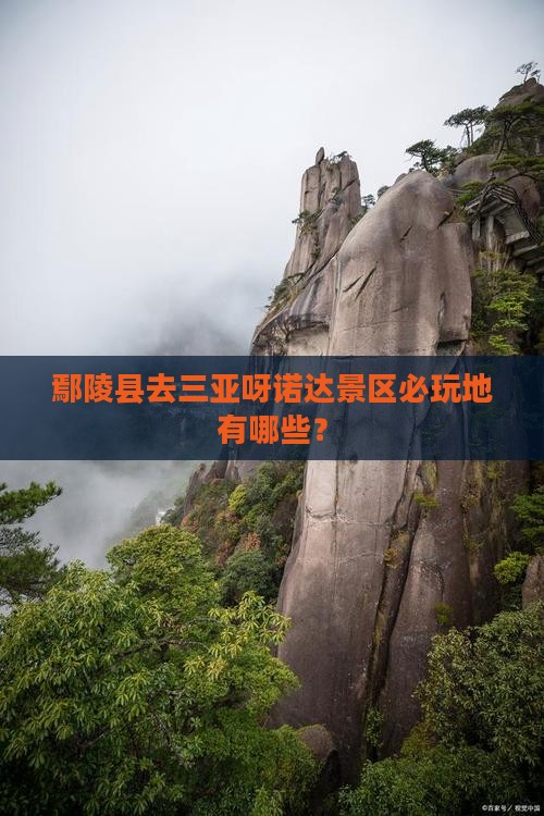 鄢陵县去三亚呀诺达景区必玩地
