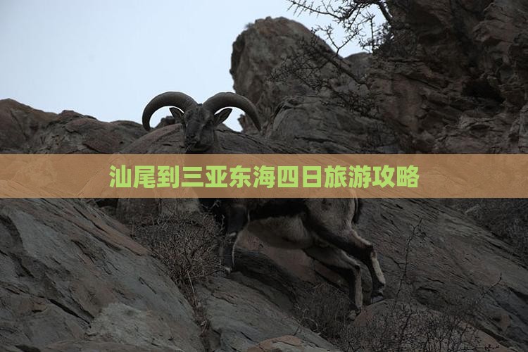 汕尾去三亚小东海四日游