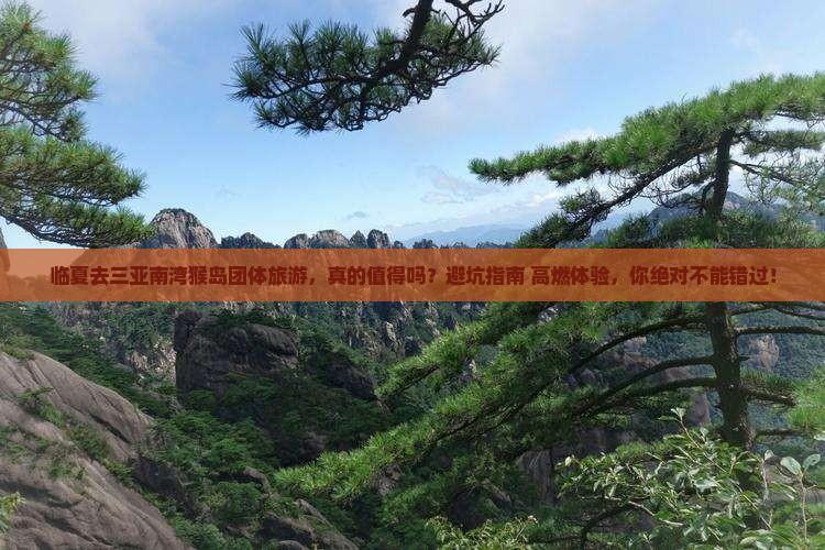 临夏去三亚南湾猴岛团体旅游