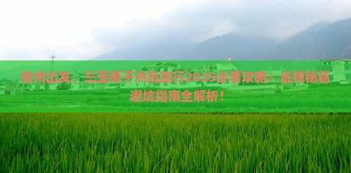 宿州去三亚椰子洲岛攻略