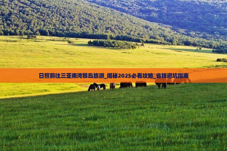 日照前往三亚南湾猴岛旅游