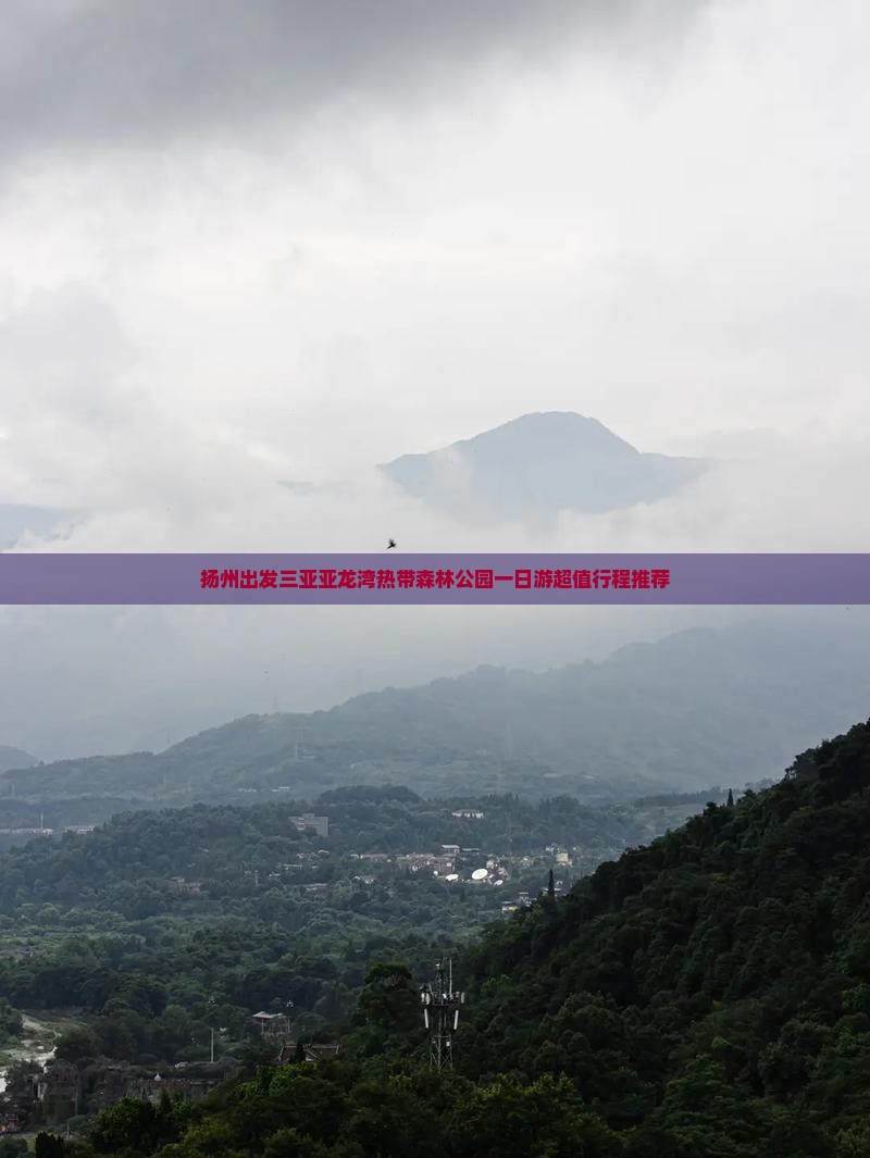 扬州出发三亚亚龙湾热带森林公园一日游
