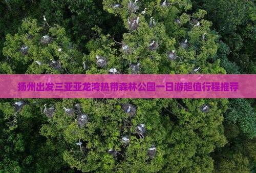 扬州出发三亚亚龙湾热带森林公园一日游