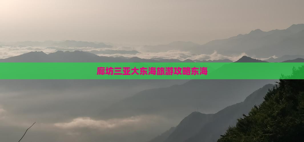 廊坊前往三亚大东海旅游