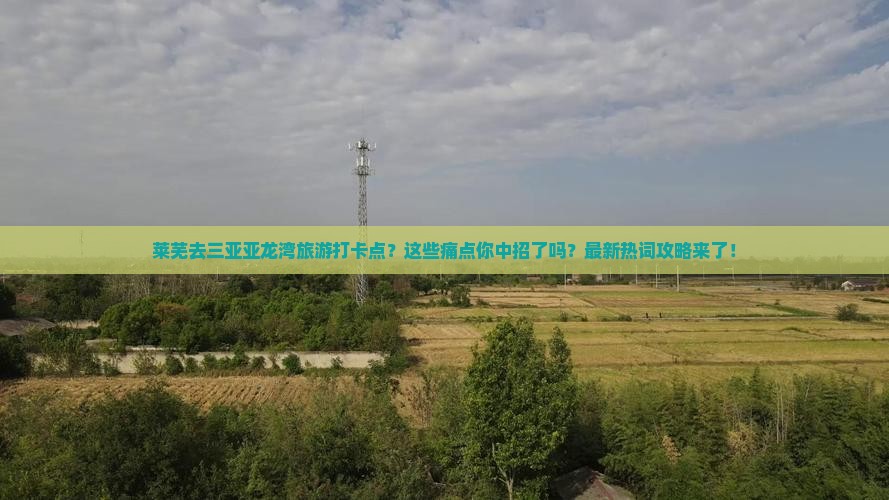 莱芜去三亚亚龙湾旅游打卡点