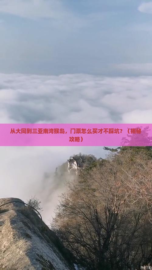 大同前往三亚南湾猴岛门票