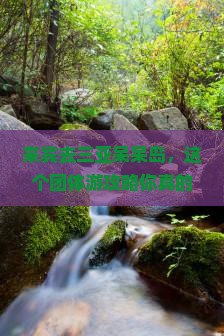来宾去三亚呆呆岛团体旅游