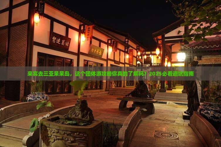 来宾去三亚呆呆岛团体旅游