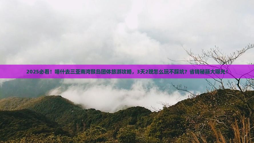 喀什去三亚南湾猴岛团体旅游