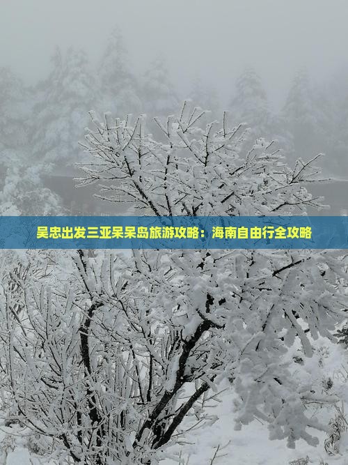 吴忠出发三亚呆呆岛自由行