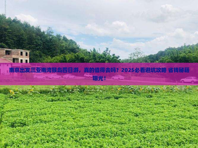 南京出发三亚南湾猴岛四日游