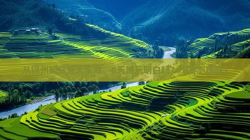 锦州前往三亚大东海六日游