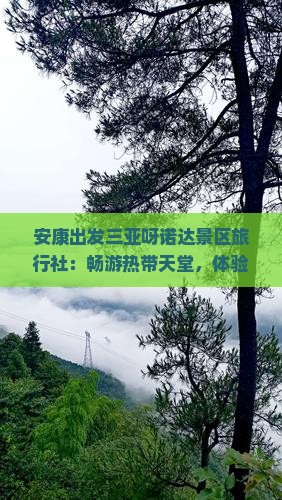 安康出发三亚呀诺达景区旅行社