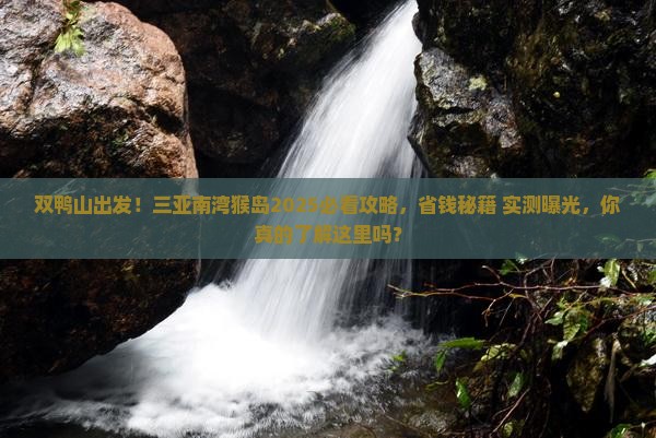 双鸭山去三亚南湾猴岛旅游打卡点