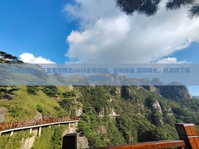 双鸭山去三亚南湾猴岛旅游打卡点
