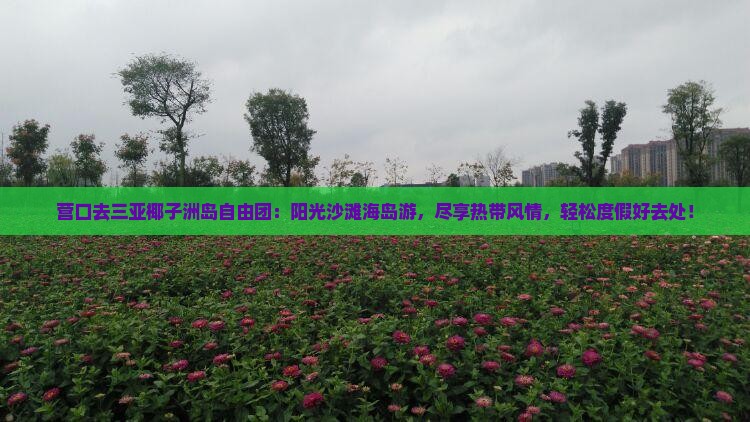 营口去三亚椰子洲岛自由团