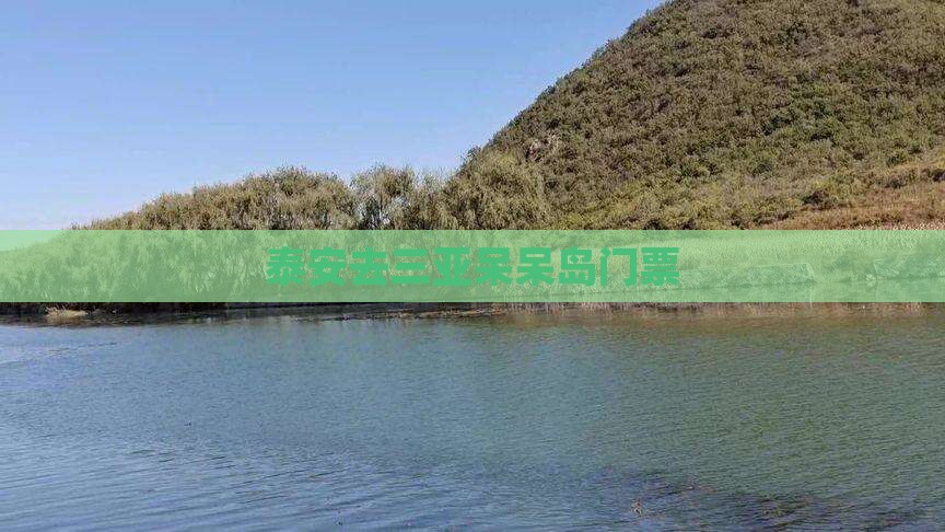 泰安去三亚呆呆岛门票