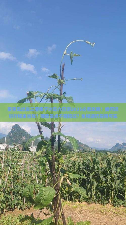 秦皇岛出发三亚椰子洲岛六日游
