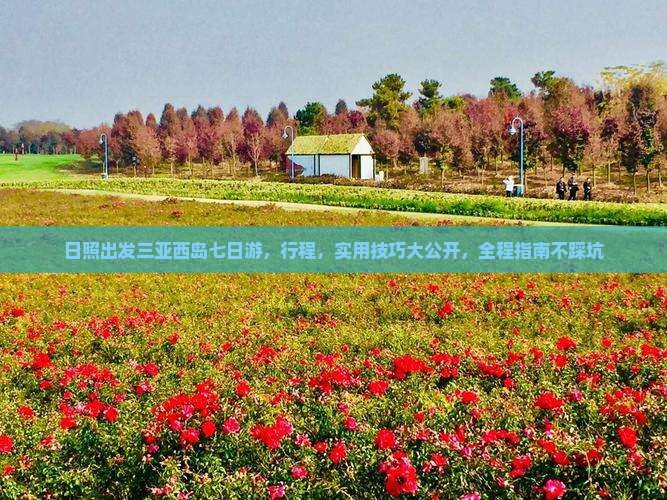 日照出发三亚西岛七日游