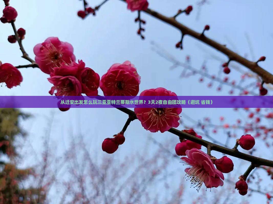 迁安前往三亚亚特兰蒂斯水世界自由团