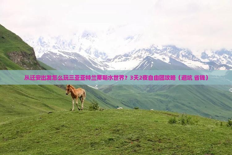 迁安前往三亚亚特兰蒂斯水世界自由团