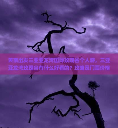 黄南出发三亚亚龙湾国际玫瑰谷个人游