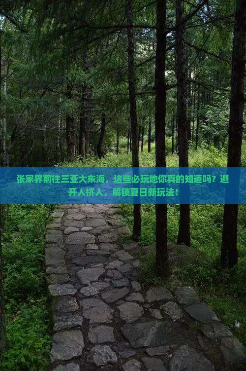 张家界前往三亚大东海必玩地