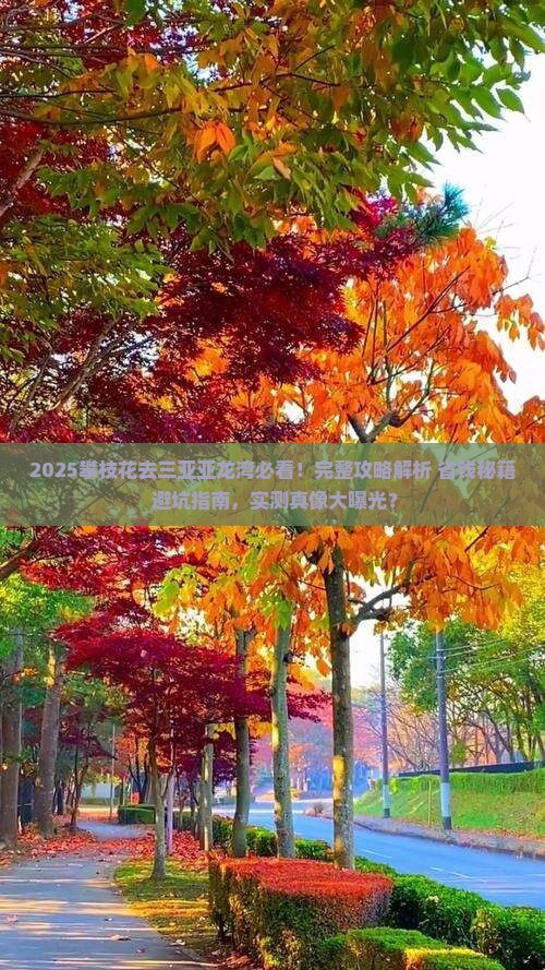 攀枝花前往三亚亚龙湾攻略