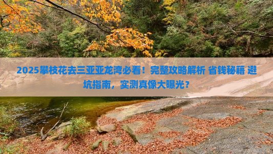 攀枝花前往三亚亚龙湾攻略