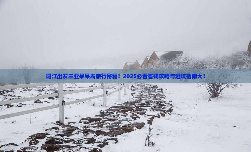 阳江出发三亚呆呆岛旅行社